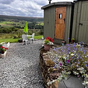  Campsite Shepherd's Hut Bilsdale United Kingdom